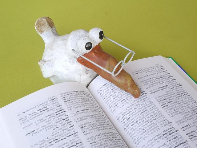 A seagull wearing glasses and reading a textbook. 