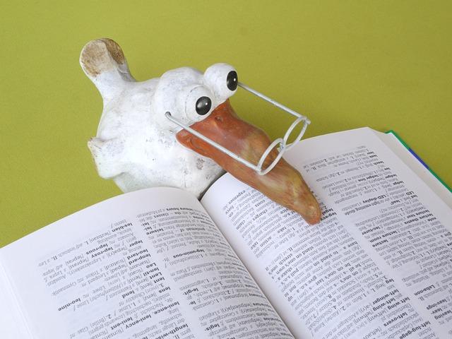 A seagull wearing glasses and reading a textbook.