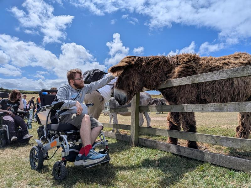 member stroking a donkey